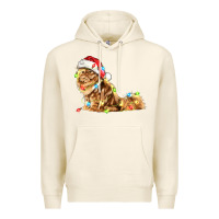 Tofu christmas persian cat Premium Hoodie - LillyAllenDesigns