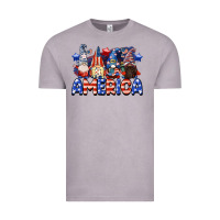 Vintage Zinc America gnomes 4th of July Vintage Tee - CowGirlArtShop