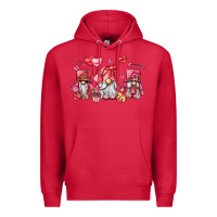 Cardinal valentine's day gnomes Premium Hoodie - LillyAllenDesigns