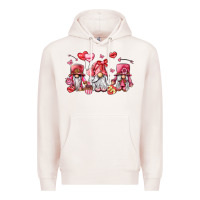 Pale Pink valentine's day gnomes Premium Hoodie - LillyAllenDesigns