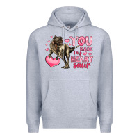 Heather Grey you make my heart saur Premium Hoodie - LillyAllenDesigns