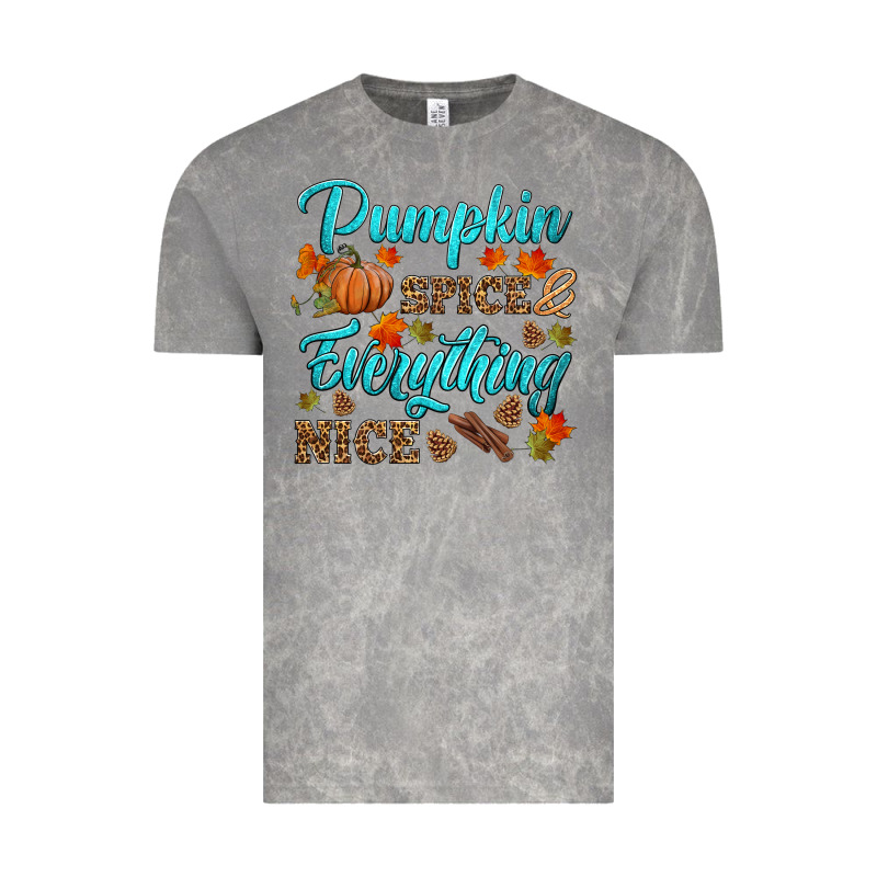 Pumpkin Spice Everything Nice Vintage Tee by HRA Design Shop | Teevron