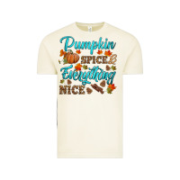 Vintage Arctic pumpkin spice everything nice Vintage Tee - HRA Design Shop