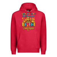 Cardinal when you dont find the sunshine be the sunshine Premium Hoodie - LillyAllenDesigns