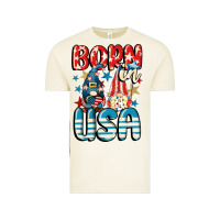 Vintage Arctic Born in USA gnomes 4th of July Vintage Tee - CowGirlArtShop