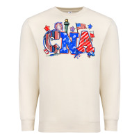 Sandshell 4th of july cna Premium Sweatshirt - NancyCooperArtShop