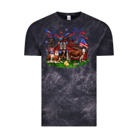 Cloud Black Barn farm animals 4th of July Vintage Tee - Neo Western