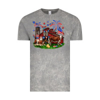 Cloud Rock Barn farm animals 4th of July Vintage Tee - Neo Western