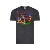 Vintage Black Barn farm animals 4th of July Vintage Tee - Neo Western