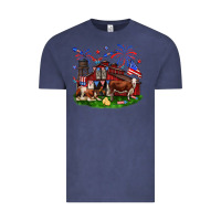 Vintage Denim Barn farm animals 4th of July Vintage Tee - Neo Western