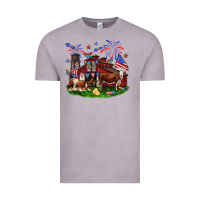Vintage Zinc Barn farm animals 4th of July Vintage Tee - Neo Western