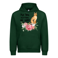 Forest Green Are you kitten me right meow Urban Hoodie - Bettercallsaul