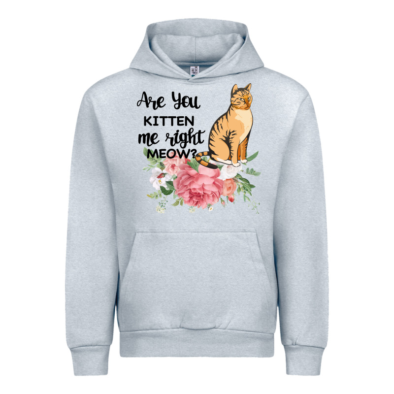 Are You Kitten Me Right Meow Urban Hoodie by Bettercallsaul | Teevron
