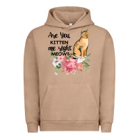 Pigment Burro Are you kitten me right meow Urban Hoodie - Bettercallsaul