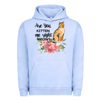 Pigment Grape Ice Are you kitten me right meow Urban Hoodie - Bettercallsaul