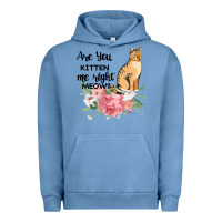 Pigment Pebble Blue Are you kitten me right meow Urban Hoodie - Bettercallsaul