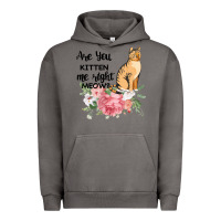 Pigment Tornado Are you kitten me right meow Urban Hoodie - Bettercallsaul