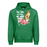 Emerald Cat Maine coon gift kidding kitten meow pussycat Urban Hoodie - Bettercallsaul