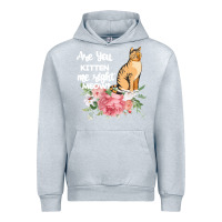 Heather Grey Cat Maine coon gift kidding kitten meow pussycat Urban Hoodie - Bettercallsaul