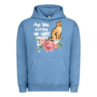 Pigment Pebble Blue Cat Maine coon gift kidding kitten meow pussycat Urban Hoodie - Bettercallsaul