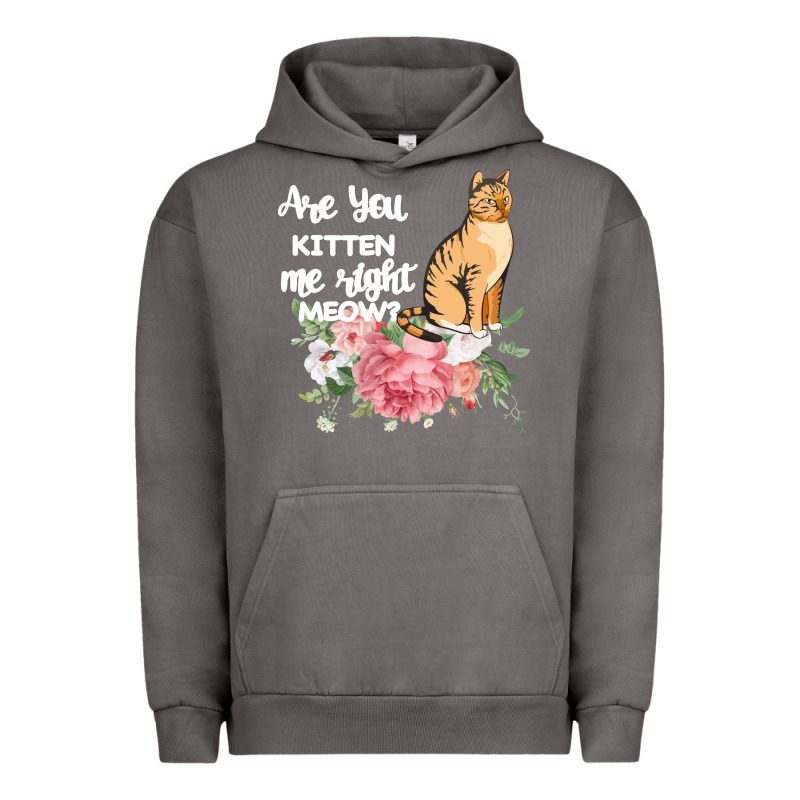 Cat Maine Coon Gift Kidding Kitten Meow Pussycat Urban Hoodie by Bettercallsaul | Teevron