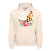 Sandshell Cat Maine coon gift kidding kitten meow pussycat Urban Hoodie - Bettercallsaul