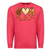 Cardinal Peace love cure Appendix Cancer Premium Sweatshirt - NancyCooperArtShop