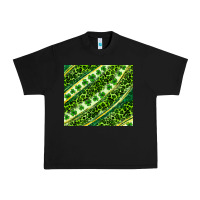 Black St. Patrick's Day leopard tumbler Urban Heavy Tee - Neo Western