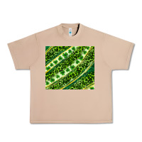 Burro St. Patrick's Day leopard tumbler Urban Heavy Tee - Neo Western