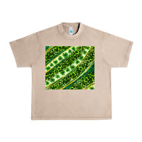 French Oak St. Patrick's Day leopard tumbler Urban Heavy Tee - Neo Western