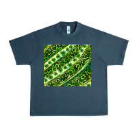 Midnight Navy St. Patrick's Day leopard tumbler Urban Heavy Tee - Neo Western