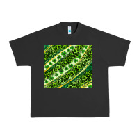 St. Patrick's Day Leopard Tumbler Urban Heavy Tee | Teevron