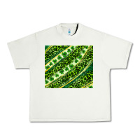 Pistachio St. Patrick's Day leopard tumbler Urban Heavy Tee - Neo Western
