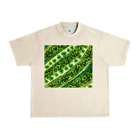 Sandshell St. Patrick's Day leopard tumbler Urban Heavy Tee - Neo Western