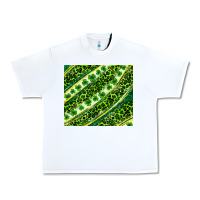 White St. Patrick's Day leopard tumbler Urban Heavy Tee - Neo Western
