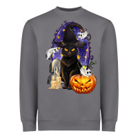 Storm Halloween Cat and Pumpkin Heavyweight Sweatshirt - texasbilliewilder