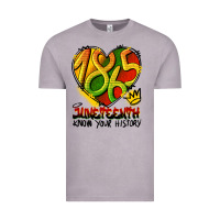 Vintage Zinc juneteenth 1865 graffiti Vintage Tee - HRA Design Shop