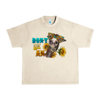 Sandshell don't be an ass donkey Urban Heavy Tee - BarkalooDesign