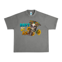 Tornado don't be an ass donkey Urban Heavy Tee - BarkalooDesign