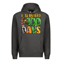 Charcoal Heather dinosaur 100day celebration Premium Hoodie - LillyAllenDesigns