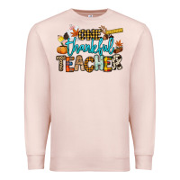 Pale Pink One thankful Teacher Premium Sweatshirt - NancyCooperArtShop