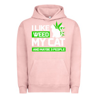 Pigment Salmon Cat Weed I Like My Cat Gift Urban Hoodie - Bettercallsaul