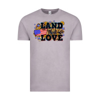 Vintage Zinc Land that we love 4th of July Vintage Tee - Neo Western