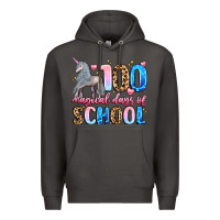 Smoke 100 magical days of school Premium Hoodie - LillyAllenDesigns