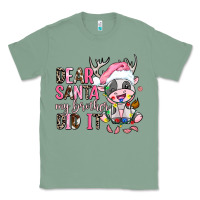 Sage dear santa my brother did it Classic Tee - AdoDesignShop