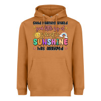 Good Morning World Your Little Ray Of Sarcastic Heavyweight Hoodie | Teevron