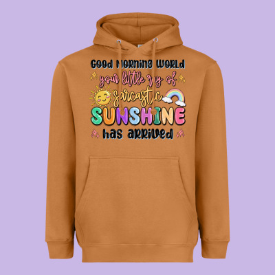 Good Morning World Your Little Ray Of Sarcastic Heavyweight Hoodie Designed By Maliassmallbusiness