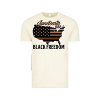 Vintage Arctic juneteenth 1865 black freedom Vintage Tee - HRA Design Shop