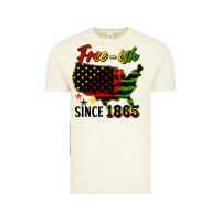Vintage Arctic free ish since 1865 Vintage Tee - HRA Design Shop