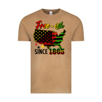 Free Ish Since 1865 Vintage Tee | Teevron